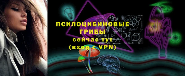 хмурый Белокуриха