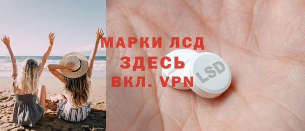 хмурый Белокуриха