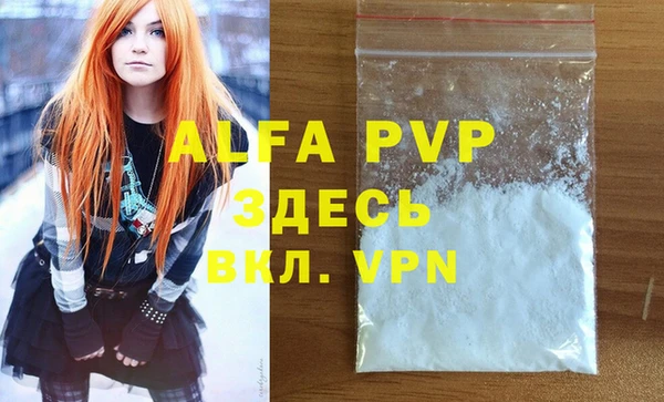 хмурый Белокуриха