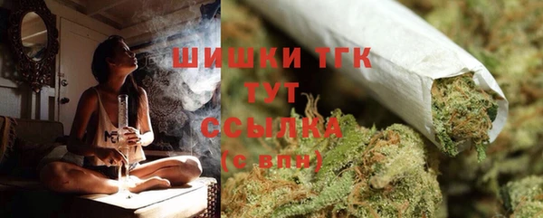 хмурый Белокуриха